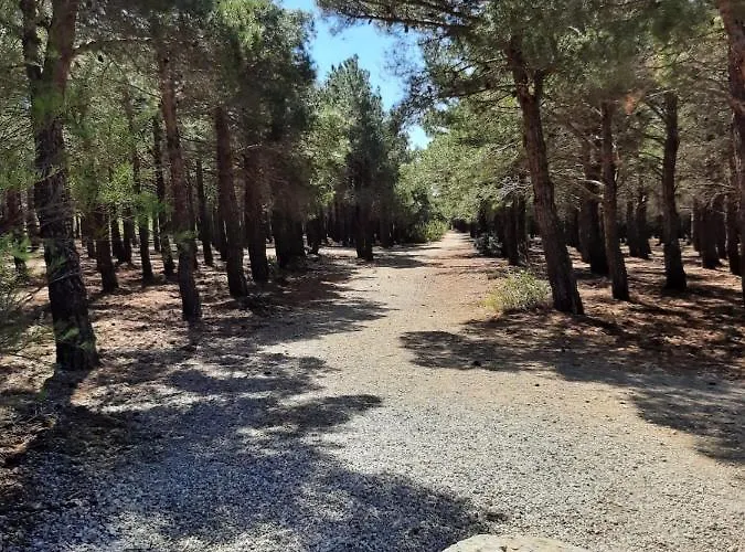 Dans Superbe Domaine Privatif Fitou
