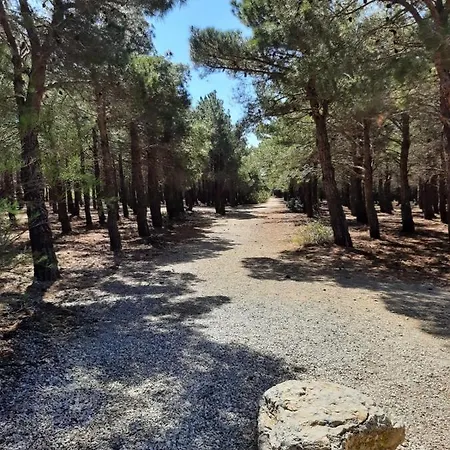 Dans Superbe Domaine Privatif Fitou